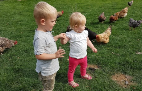 kids-kippen
